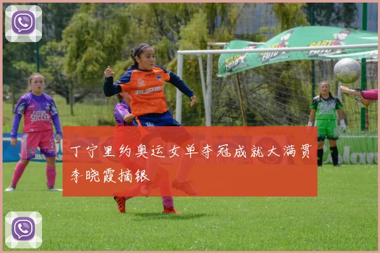 丁宁里约奥运女单夺冠成就大满贯李晓霞摘银