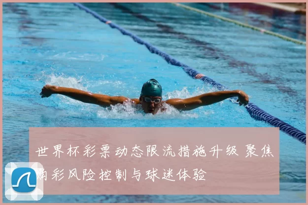 世界杯彩票动态限流措施升级 聚焦购彩风险控制与球迷体验