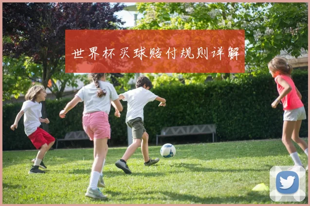 世界杯买球赔付规则详解