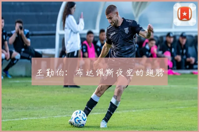 王勤伯：布达佩斯夜空的翅膀