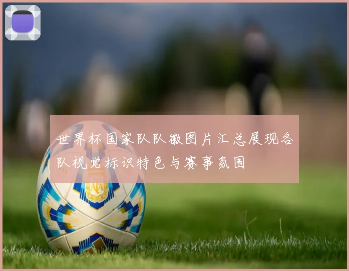 世界杯国家队队徽图片汇总展现各队视觉标识特色与赛事氛围